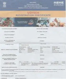 udyam-vision-telecom-251x300